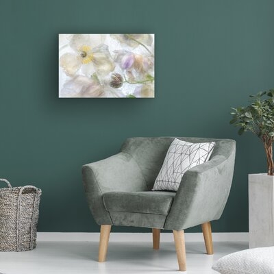 Mandy Disher 'Anemone Frost' Canvas Art - Image 0