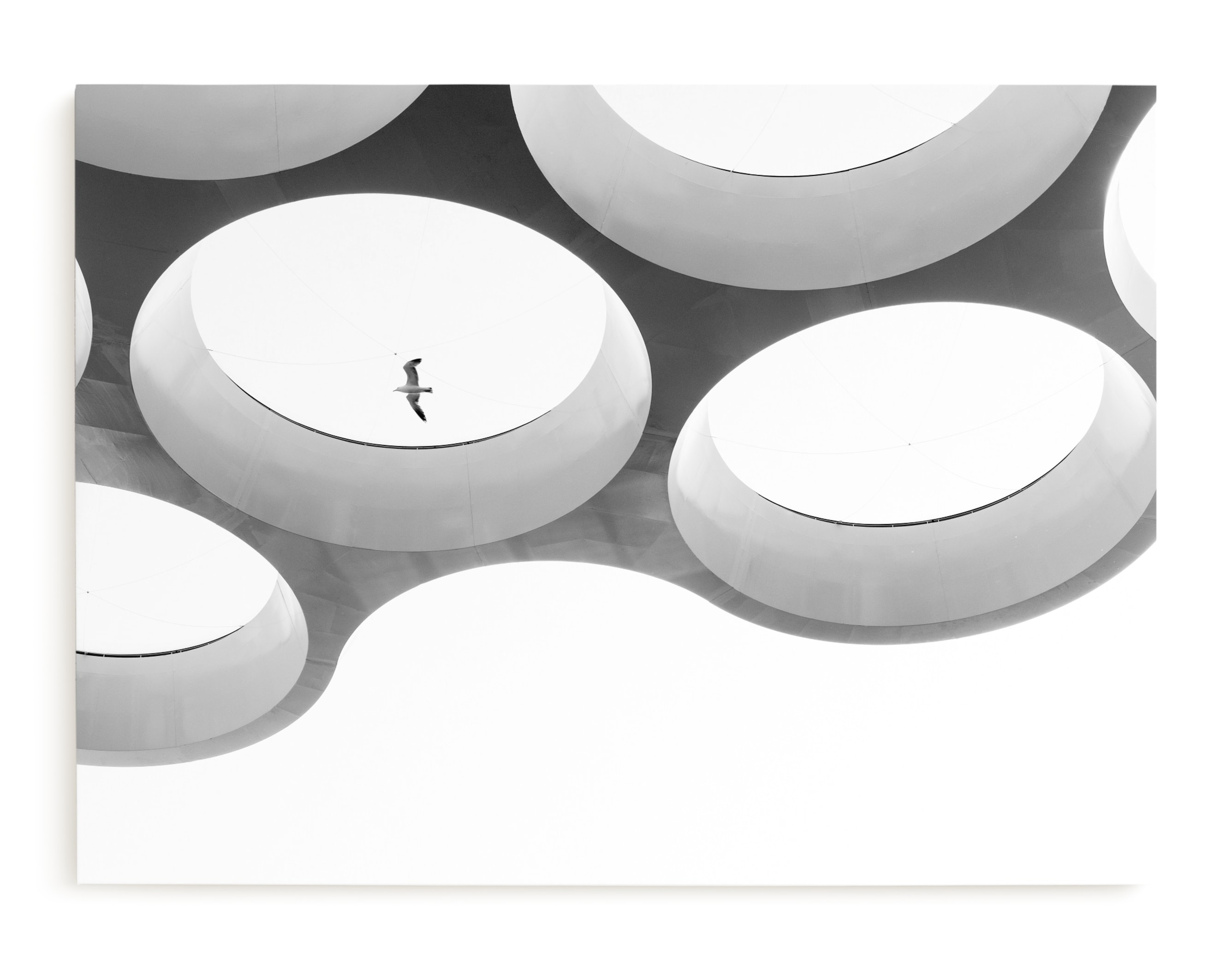 In Flight Limited Edition Fine Art Print 1 - Image 0