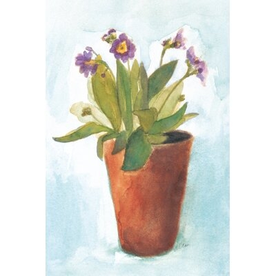 Primulas in Pots on Blue II by Michael Clark - Wrapped Canvas Painting Print - Image 0