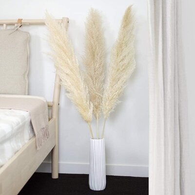 Natural Dried Pampas Grass, Set of 3 - Image 0