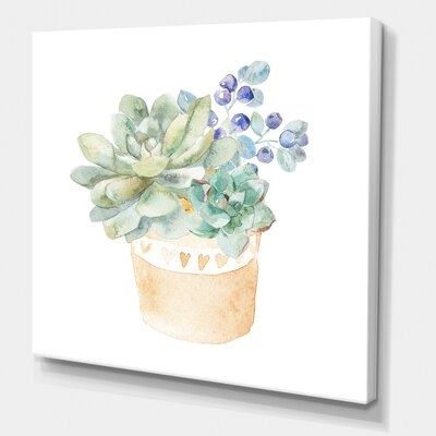 Succulent Flower In Terracotta Pot II - Traditional Canvas Wall Art Print PT35481 - Image 0