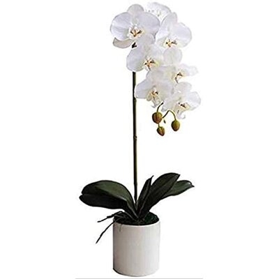 Artificial Orchid in Pot, White - Image 0