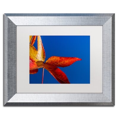 PIPA Fine Art - Picture Frame Photographic Print on Canvas - Image 0