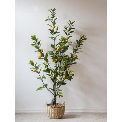 Artificial Lemon Tree in Basket - Image 0
