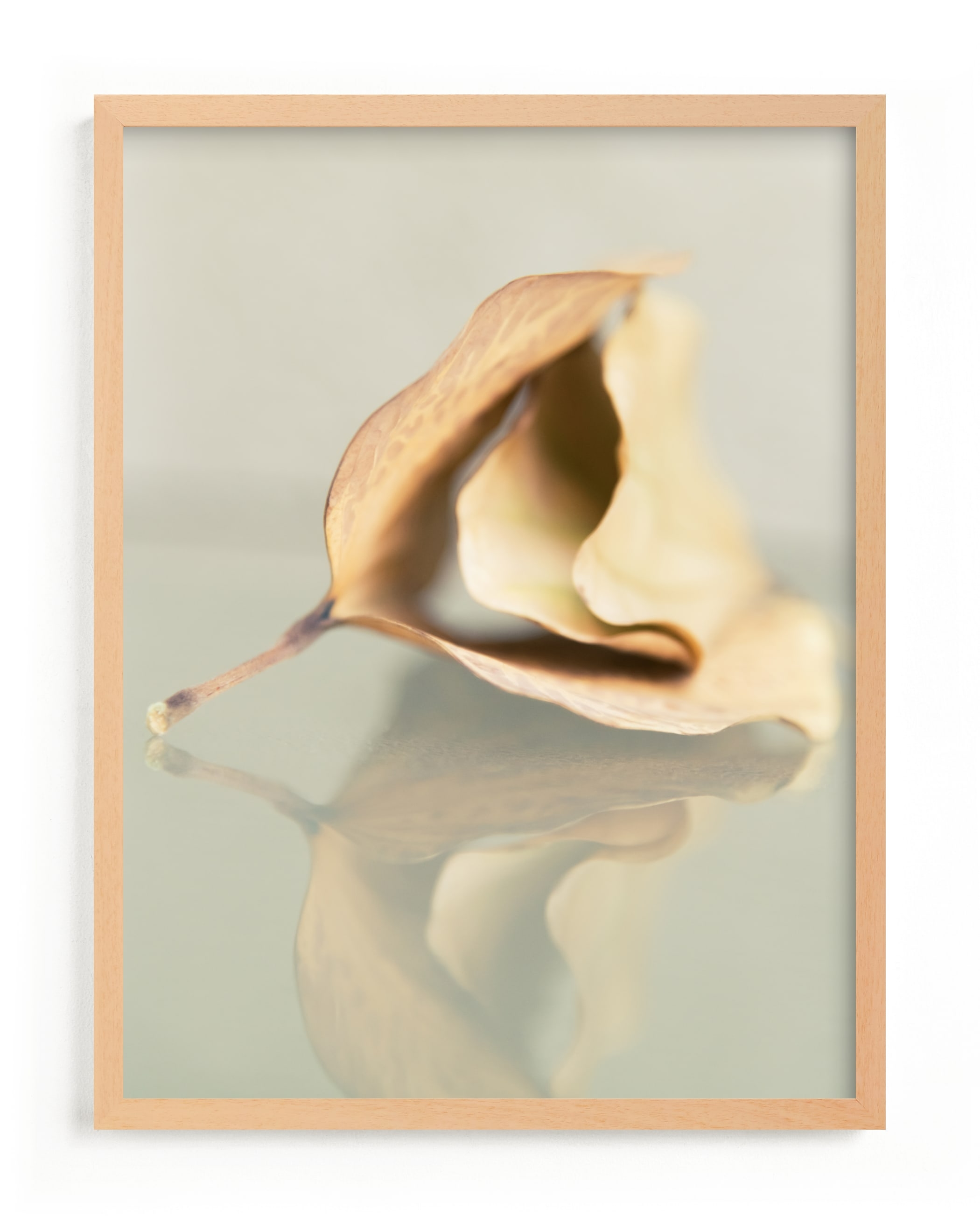 Harmony Limited Edition Fine Art Print 2 - Image 0