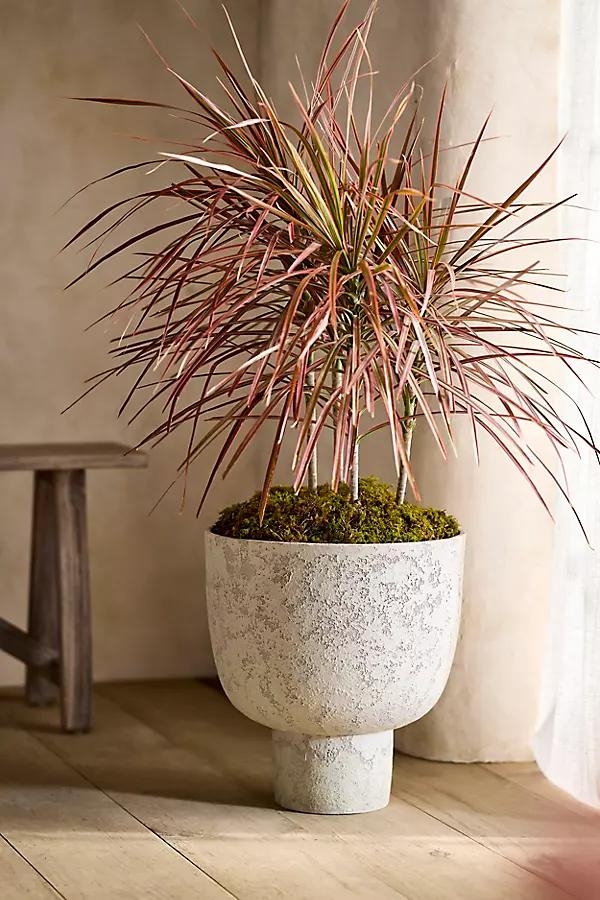 Margo Ceramic Urn - Image 0