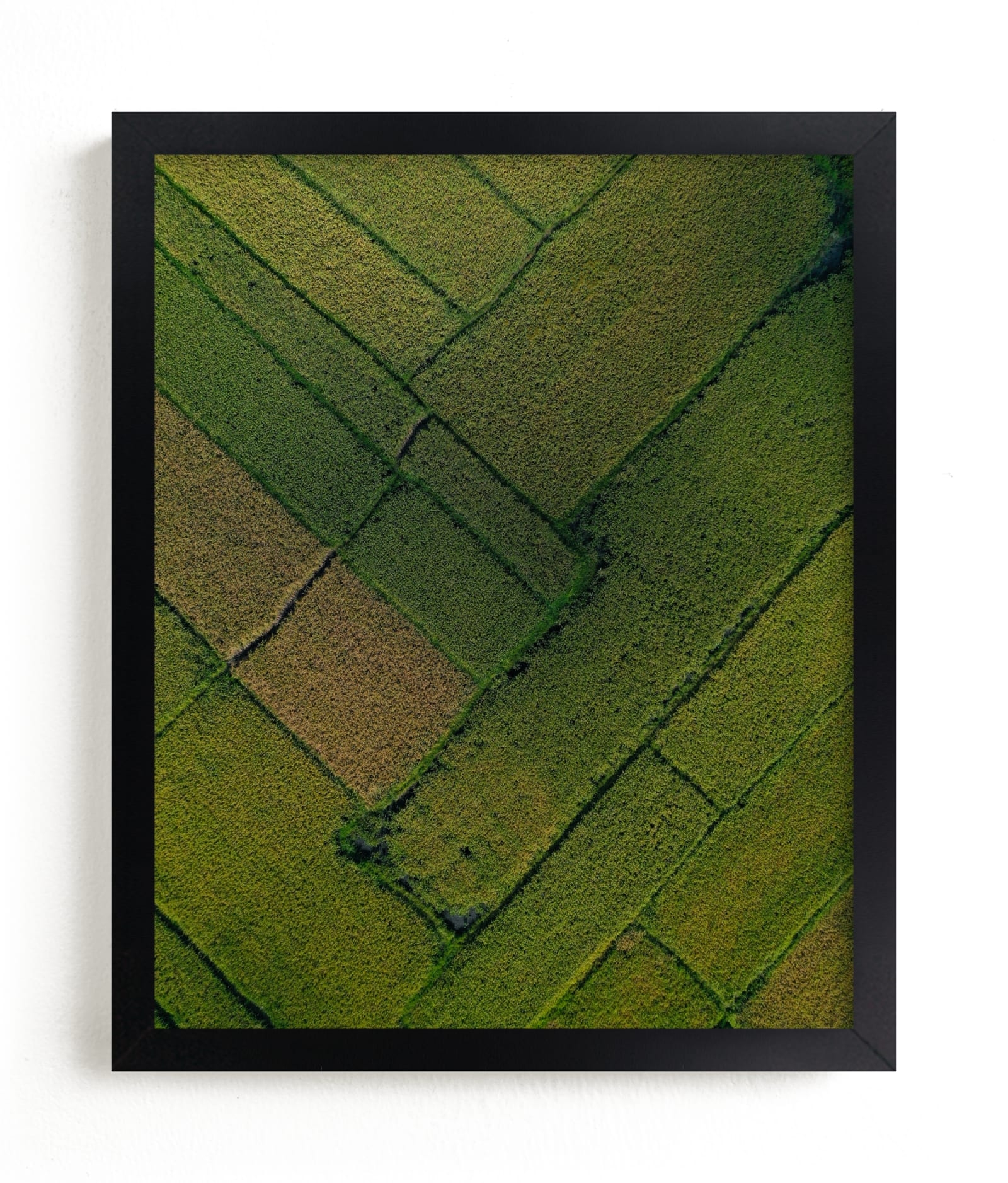 Above The Paddy Limited Edition Fine Art Print 2 - Image 0