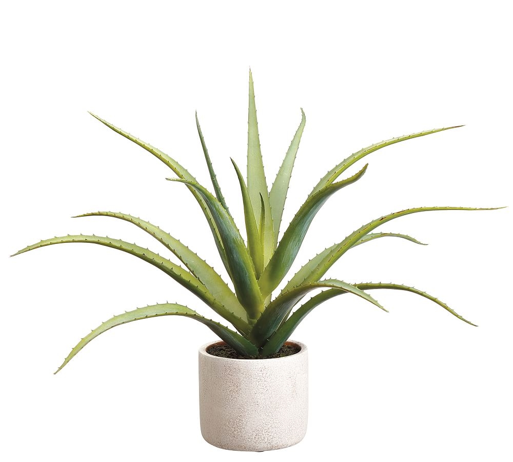 Faux Aloe Plant In Natural-Tone Cement Pot, 17"H - Image 0