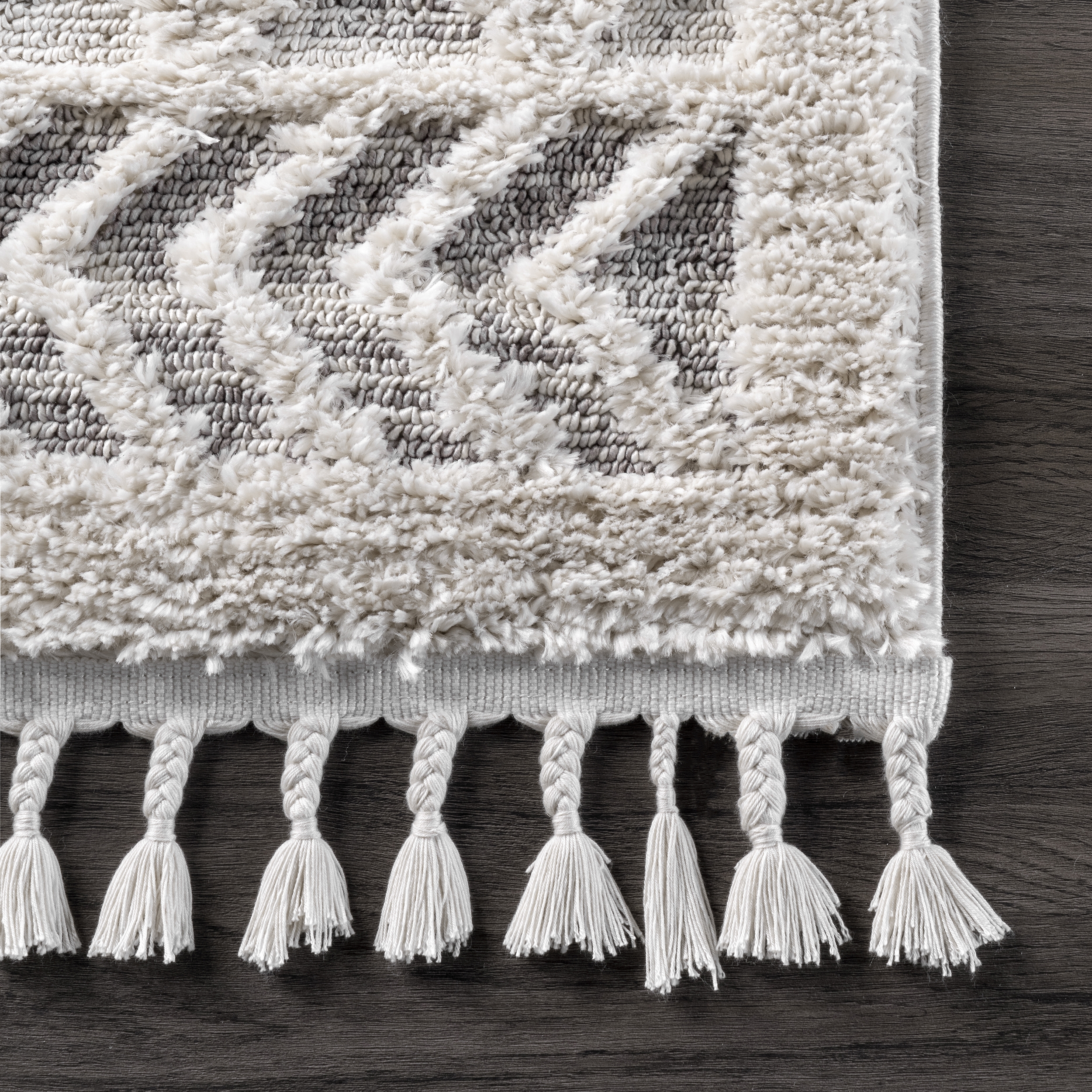 Ansley Shaggy Lattice Tassel Area Rug - Image 0