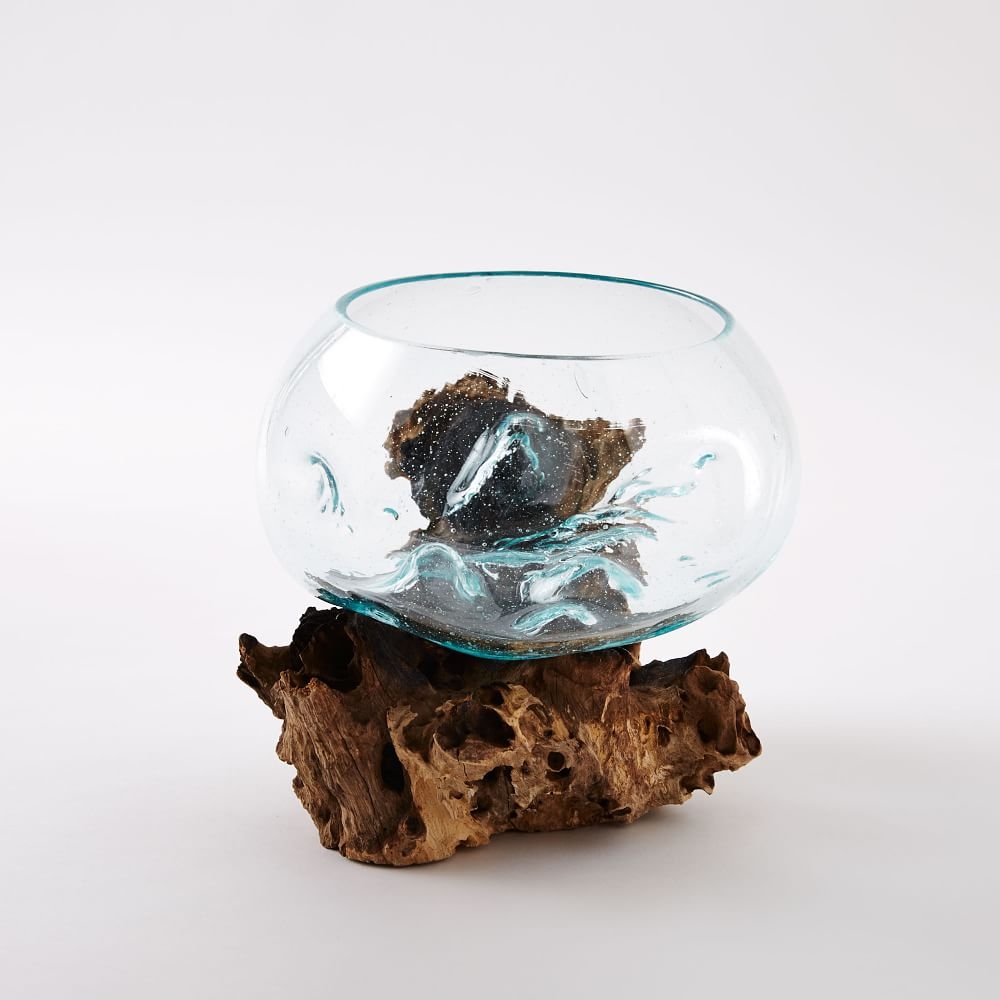 Wood + Glass Terrarium, Medium - Image 0