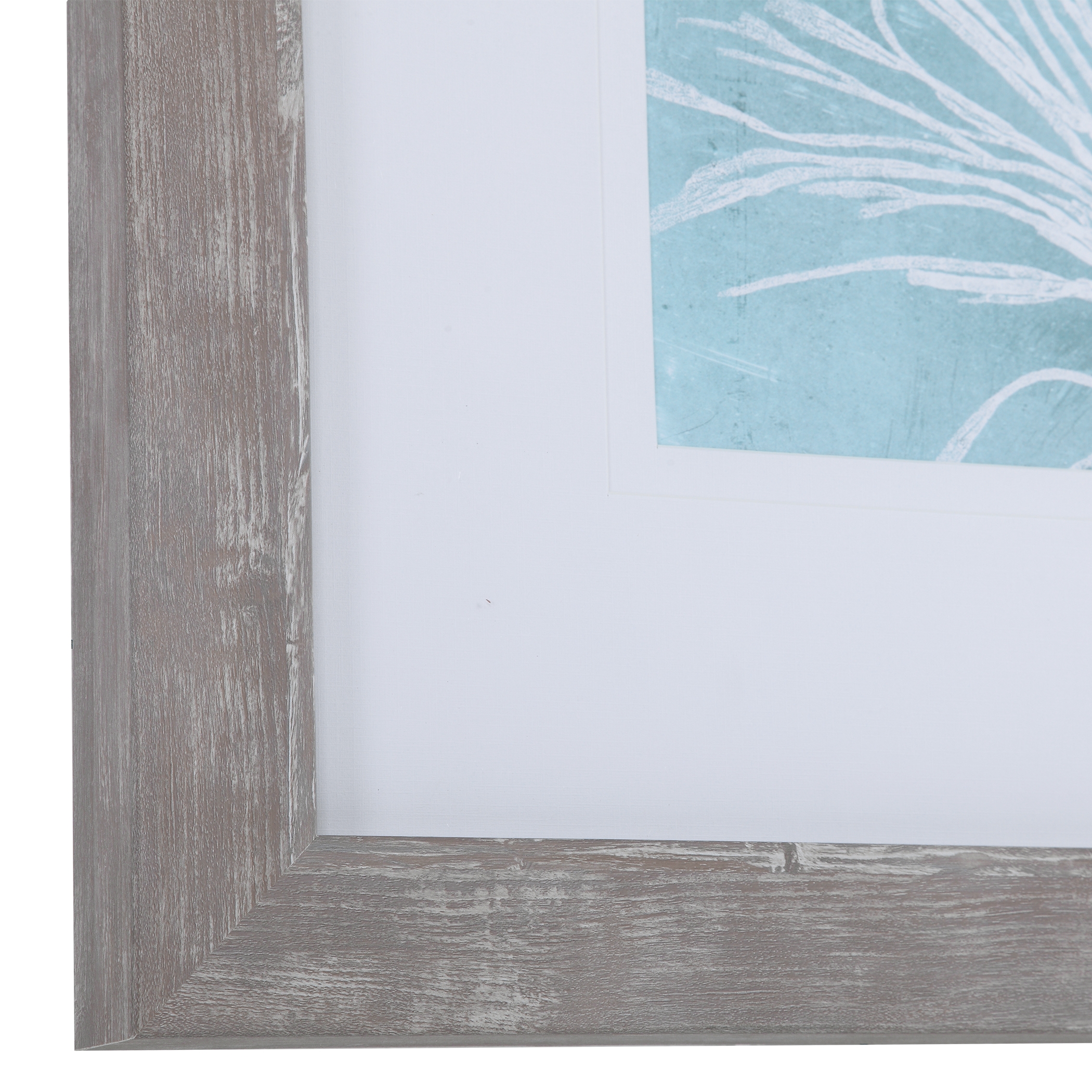 Seaweed On Aqua Framed Prints S/4 - Image 2
