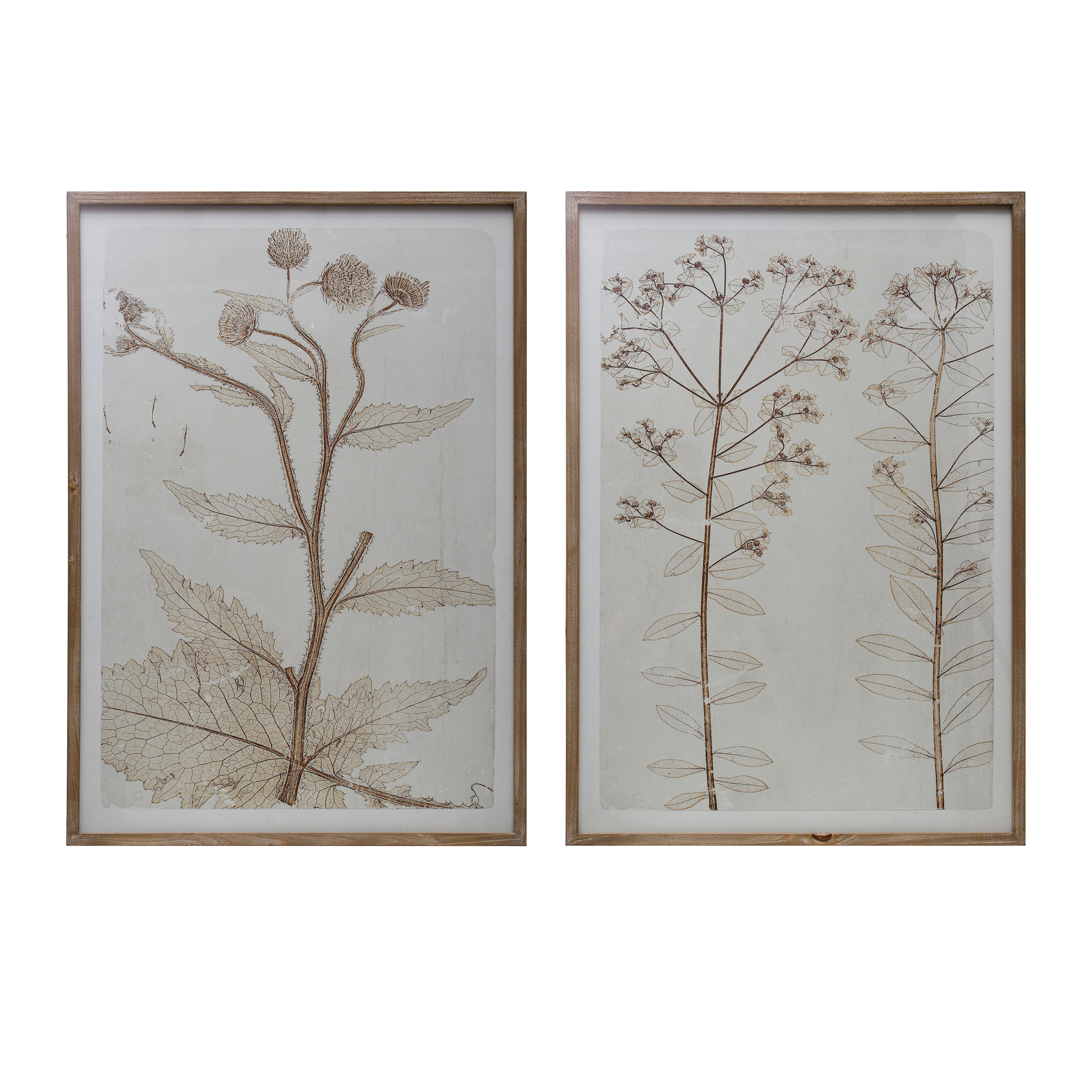  Floral Print Wall Décor with Wood Frame and Glass Cover, Set of 2 Styles - Image 0