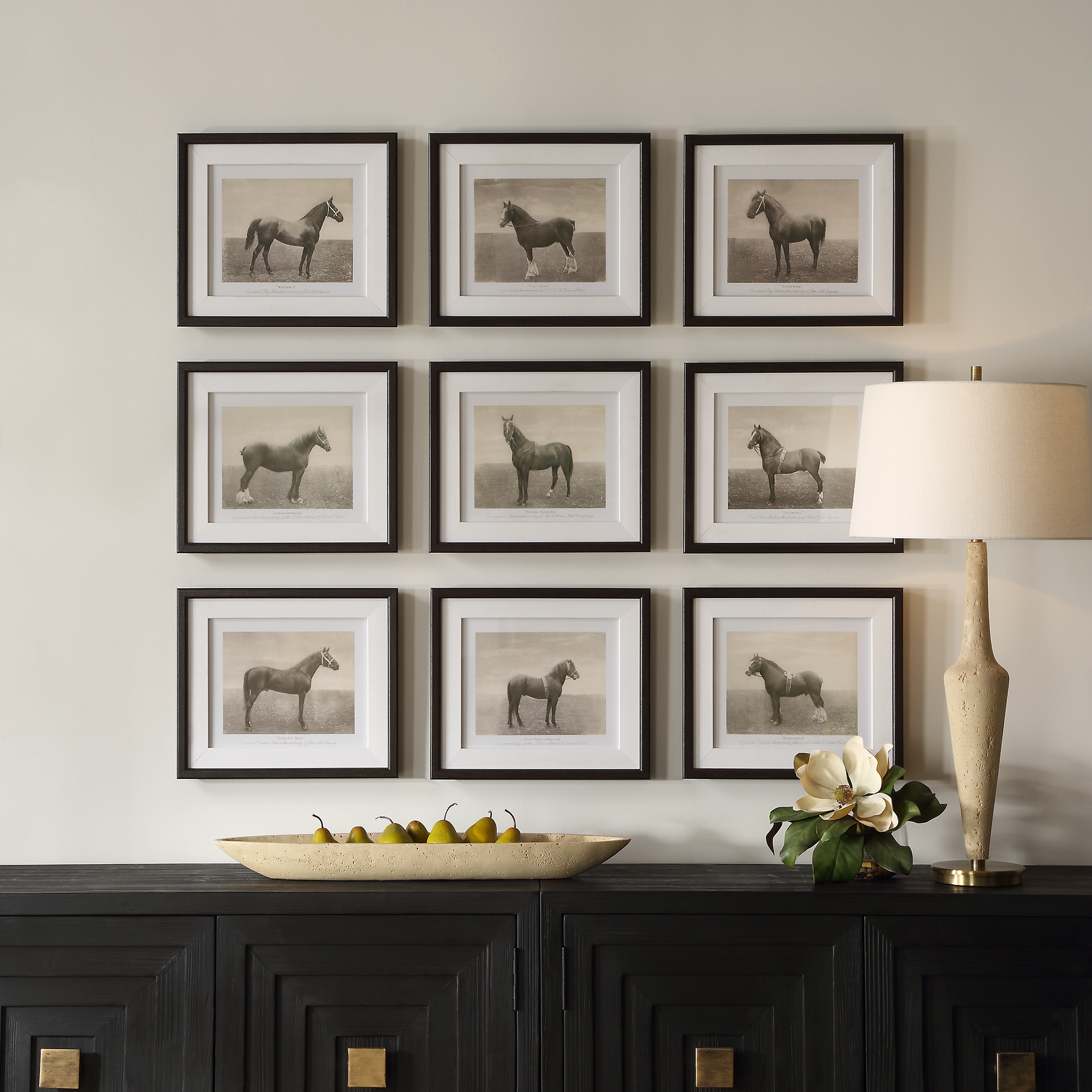 Equine Dynasty Framed Prints Set/9 - Image 1