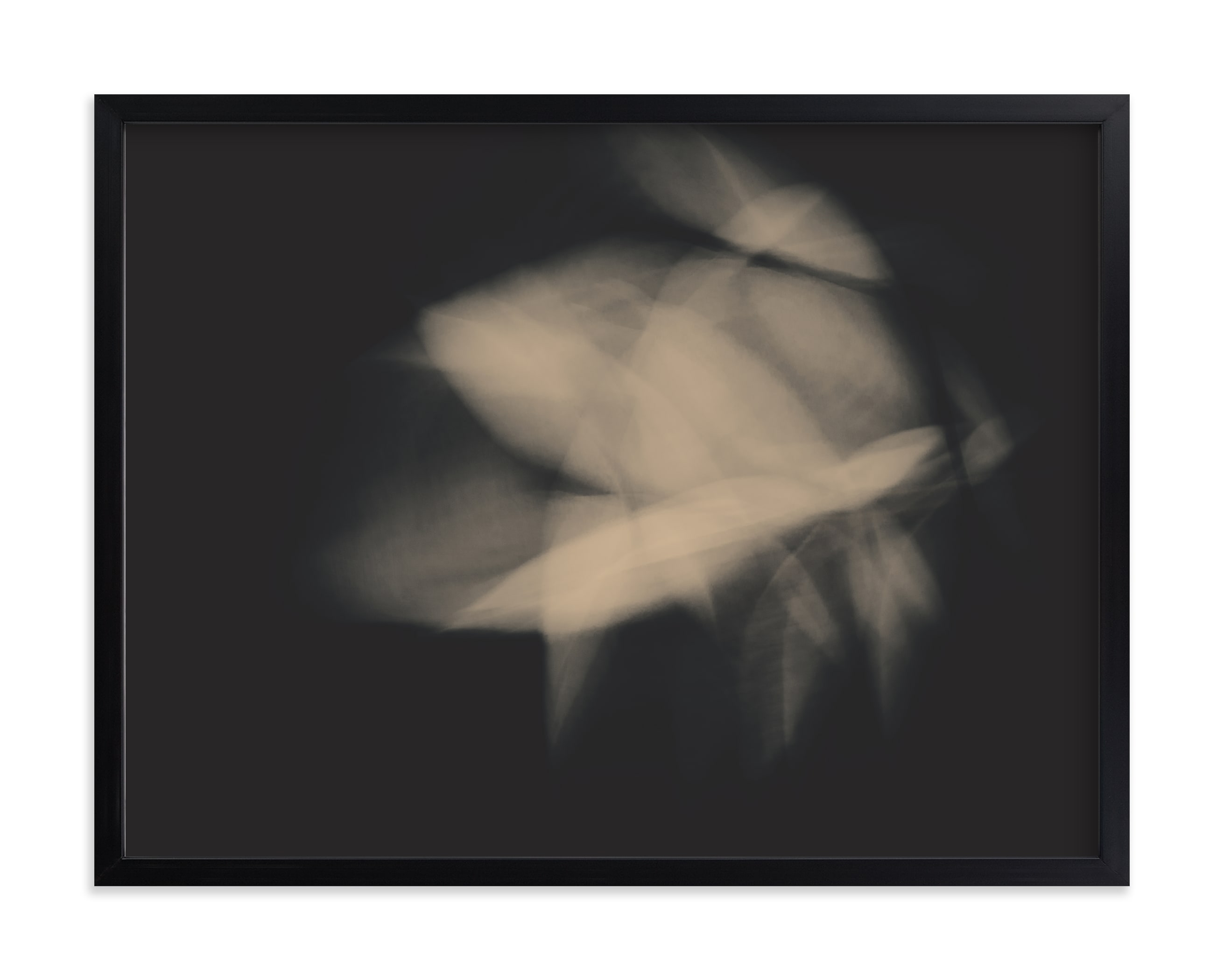 Flower Dance II Limited Edition Fine Art Print 2 - Image 0