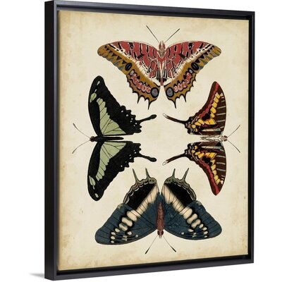 Display of Butterflies II by Studio Vision - Painting Print on Canvas - Image 0