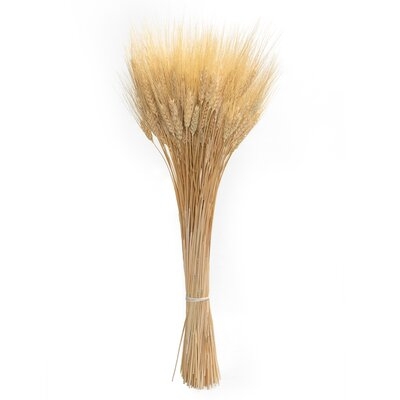 25'' Preserved Wheat Grass - Image 0