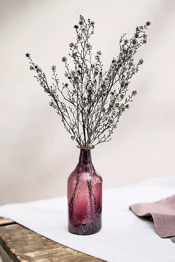 Preserved Stirlingia Bunch - Image 0