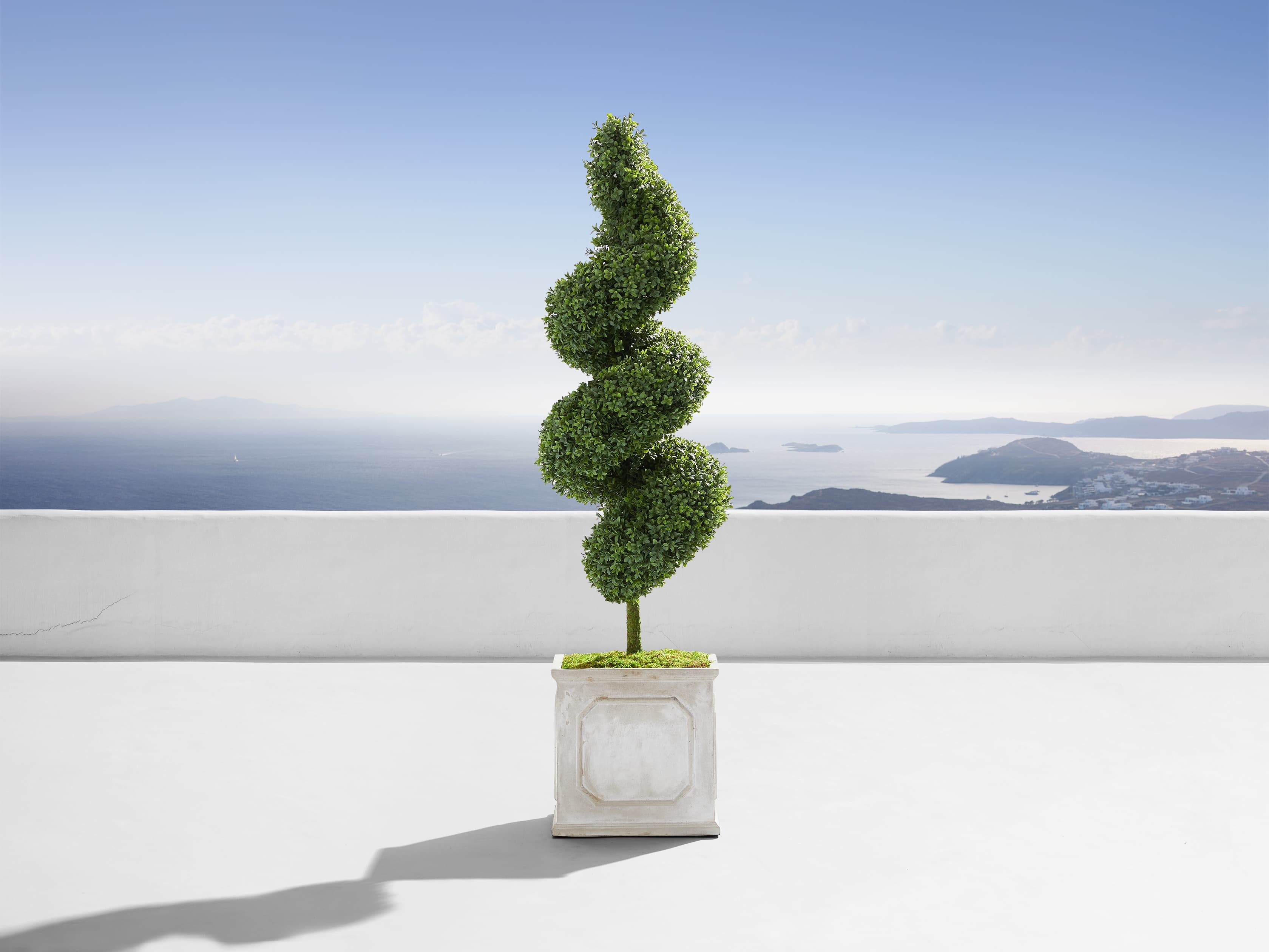 Boxwood Spiral Topiary in Fiberglass Gray - Image 0
