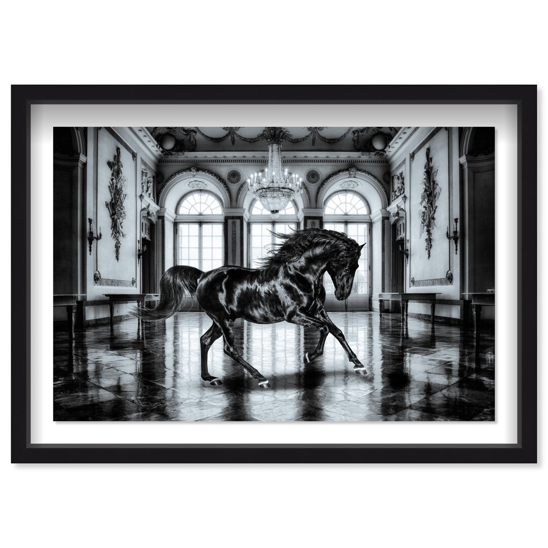 "Oliver Gal Animals 'Ballroom Strut' Farm Animals By Oliver Gal Wall Art Print" - Image 0