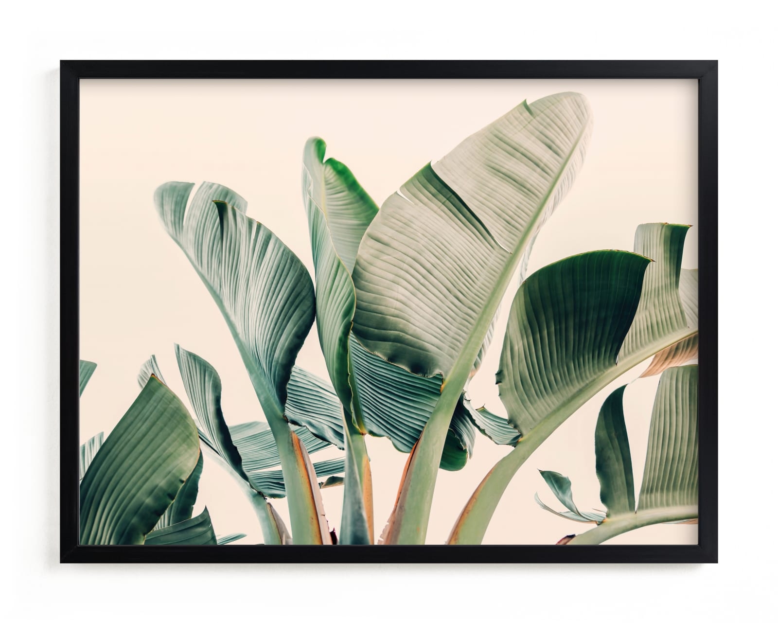 Bending To The Sun Limited Edition Fine Art Print 2 - Image 0