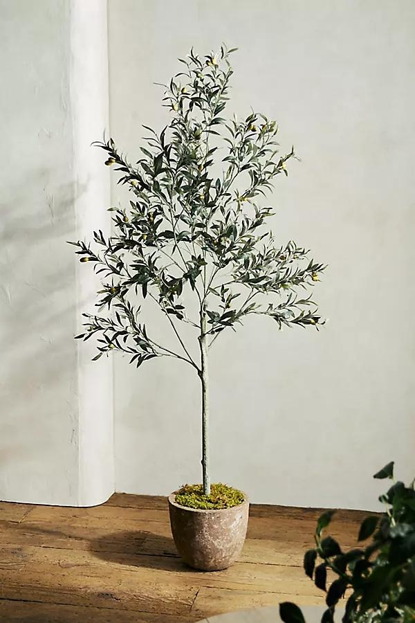 Faux Olive Tree, 6' - Image 0
