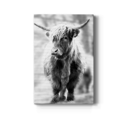 Yorkshire Highland Premium Gallery Wrapped Canvas - Ready To Hang - Image 0