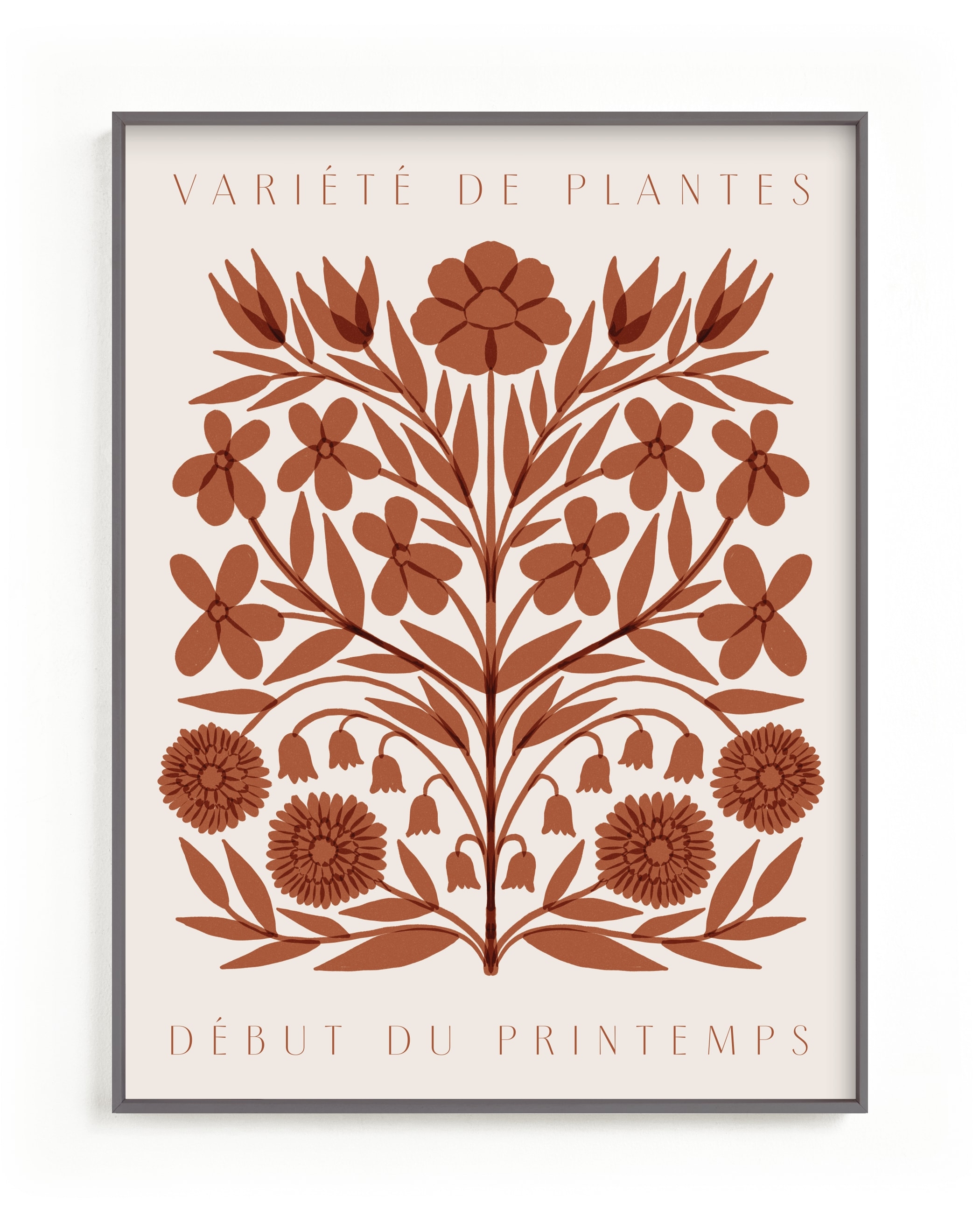 Les Plantes I Open Edition Fine Art Print - Image 0