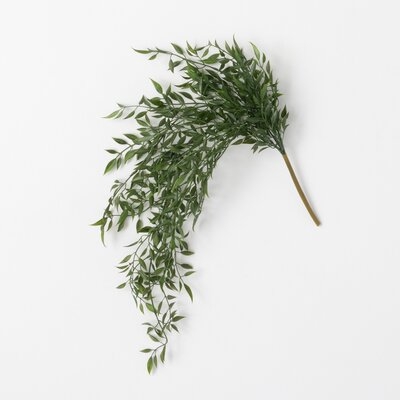 Quiller Draping Ruscus Stems - Image 0