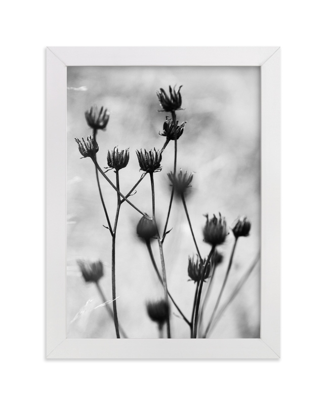 Autumn Detail Limited Edition Fine Art Print 1 - Image 0