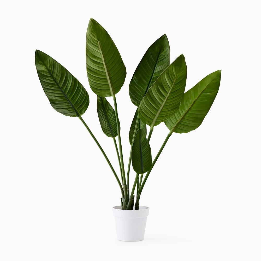 Faux Potted Bird of Paradise Plant, 4' - Image 0
