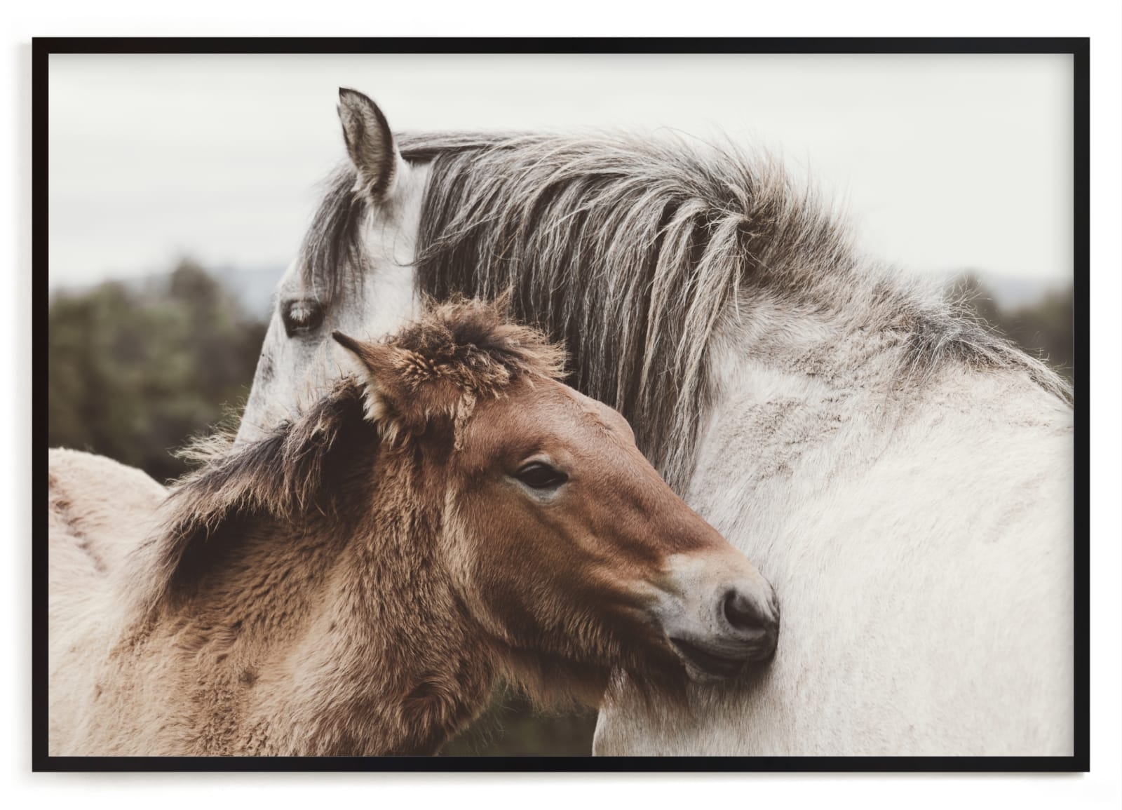 Nuzzle Limited Edition Fine Art Print 2 - Image 0