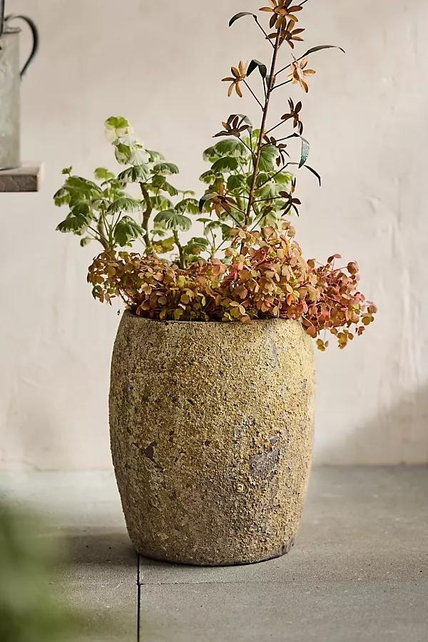 Barnacle Drum Planter, 11" - Image 0