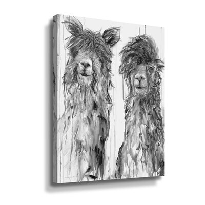 Alpaca A Comb Gallery Wrapped Floater-Framed Canvas - Image 0