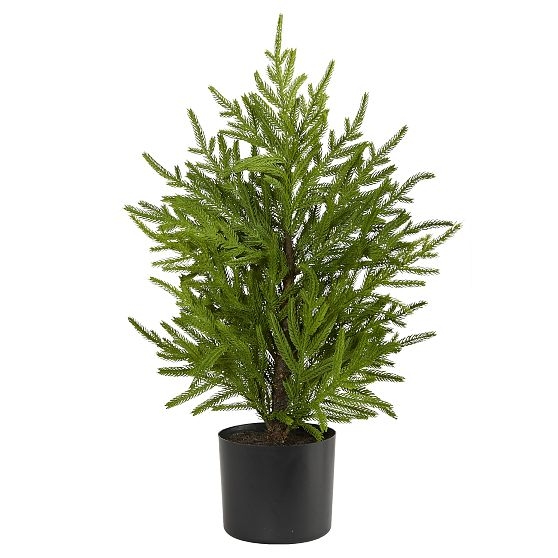 Faux Potted Norfolk Island Pine Tree, 2', Green - Image 0