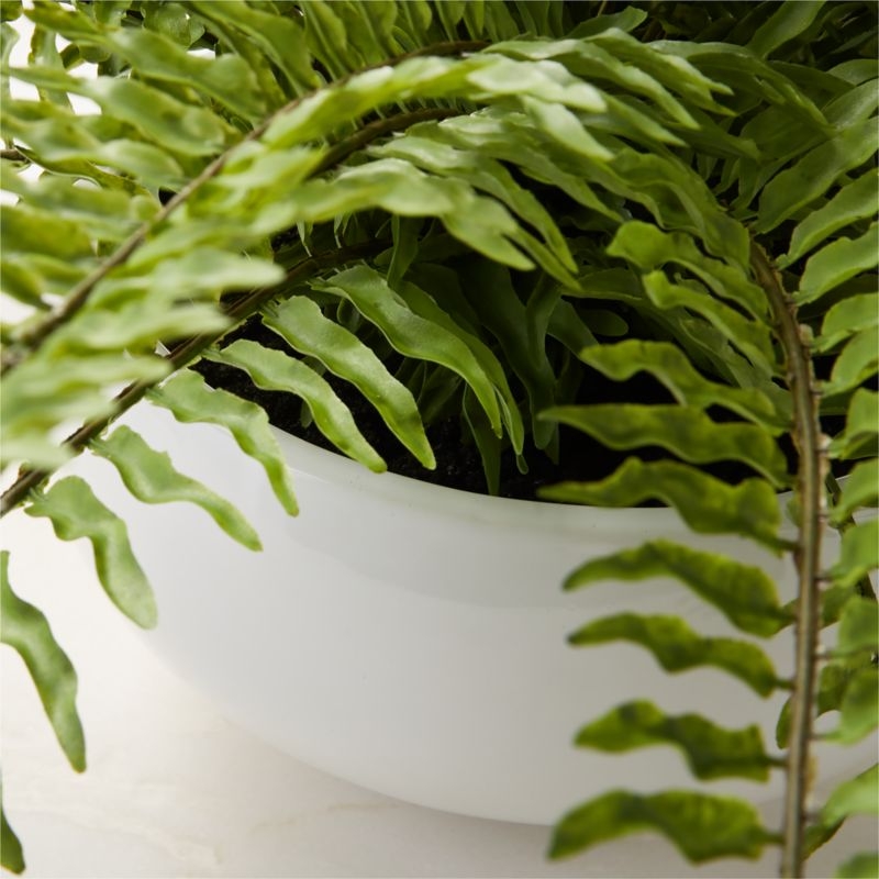 Faux Potted Fern Plant 10" - Image 1