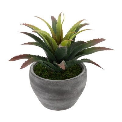 Faux Star Agave Succulent in Pot - Image 0