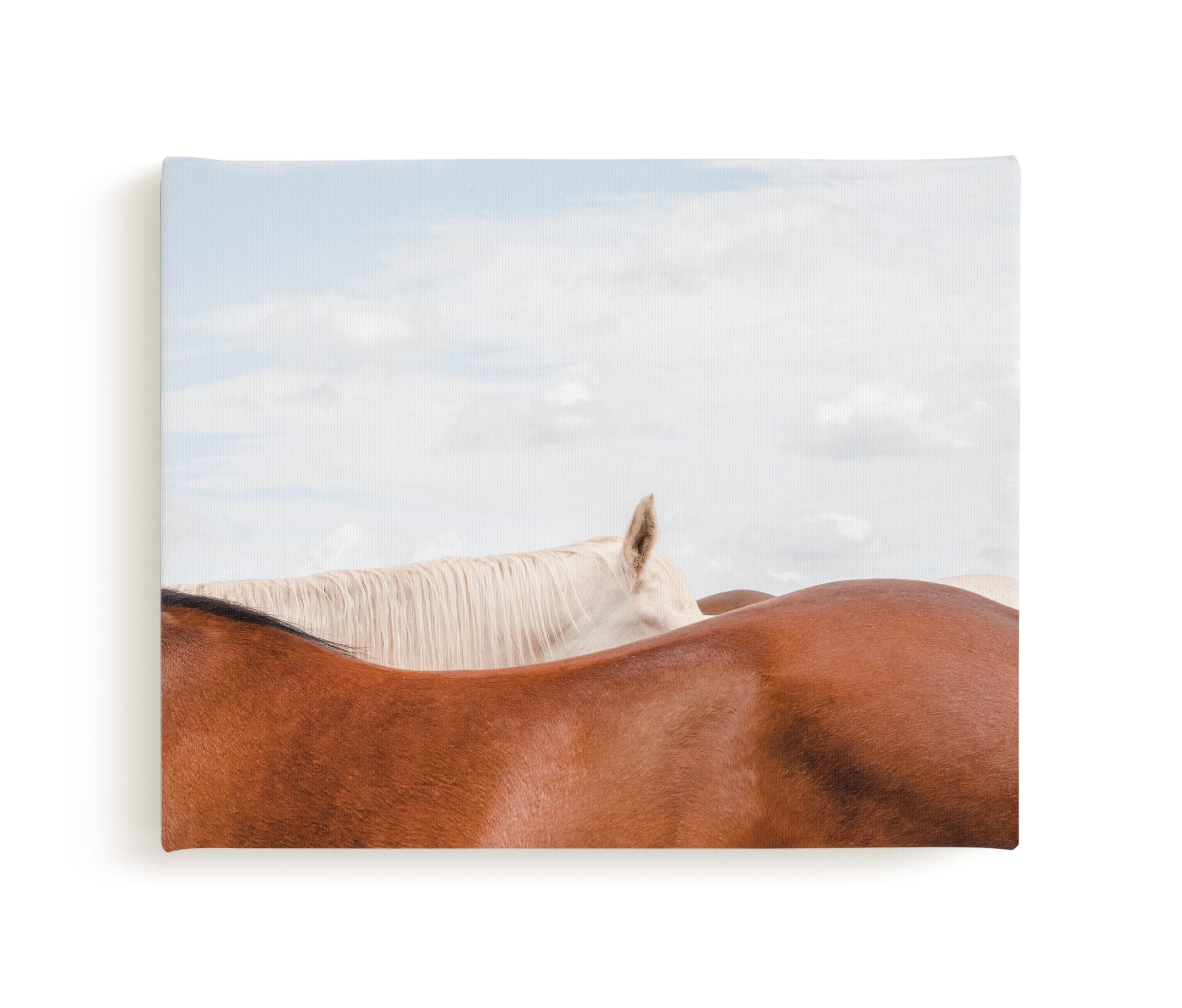 Peekaboo II Limited Edition Fine Art Print 1 - Image 0