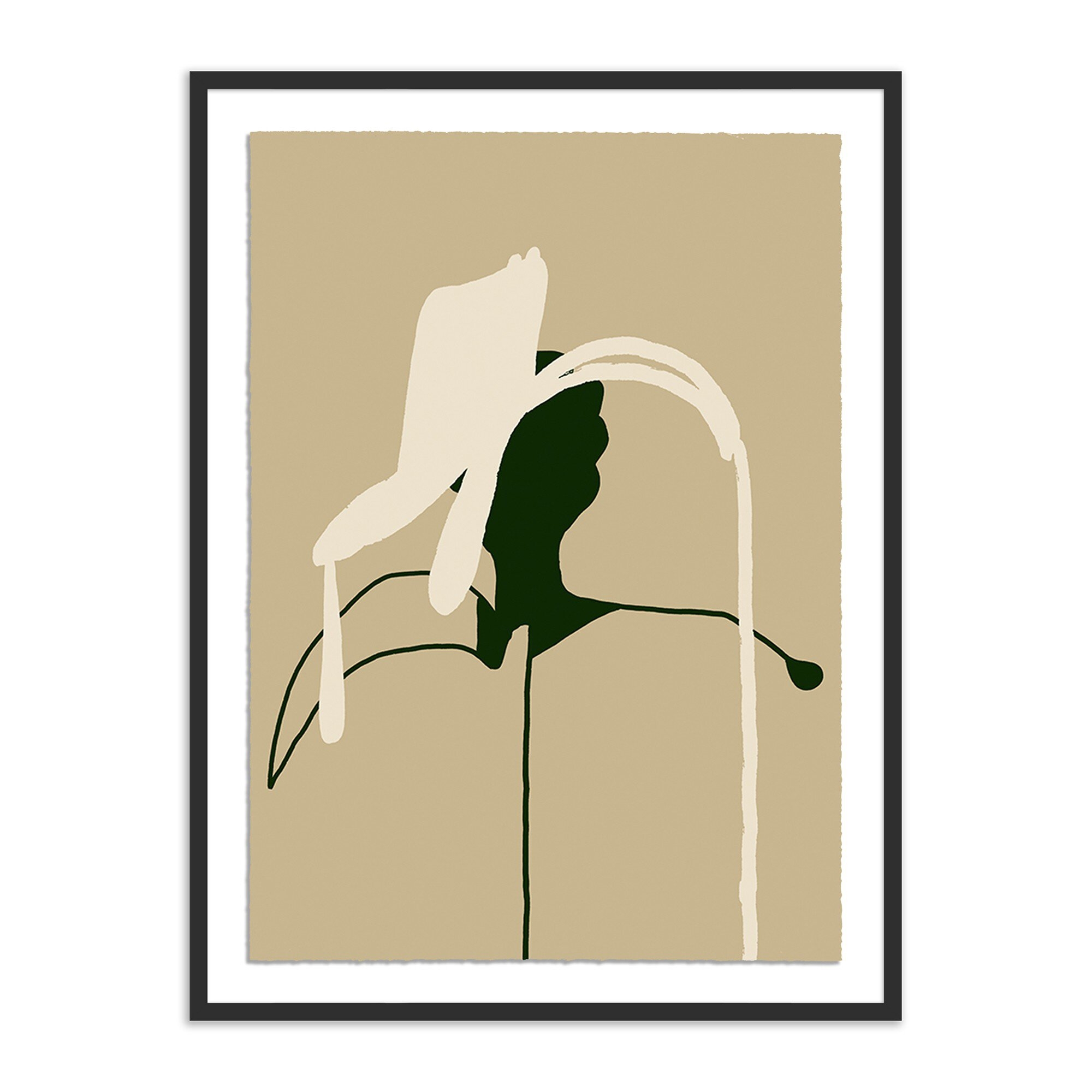 Stems 4 by Fox Studios - Black - Image 0