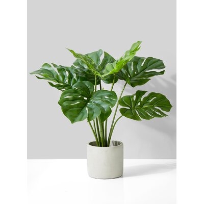Evergreen Plant Pot - Image 0