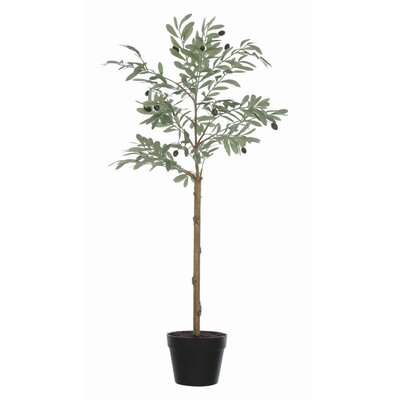 Faux Olive Plant in Pot, 42" - Image 0