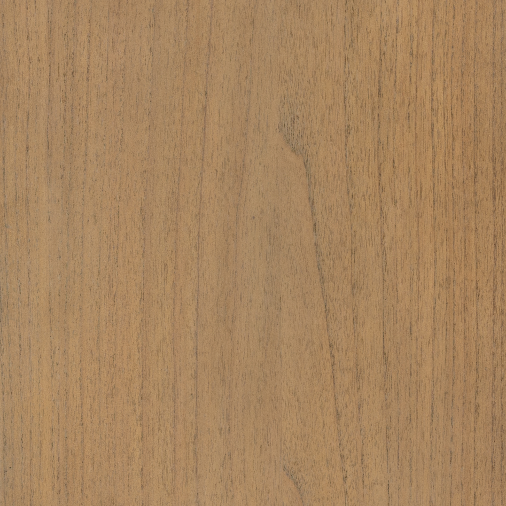 Ilana Cabinet-Burnis - Image 9