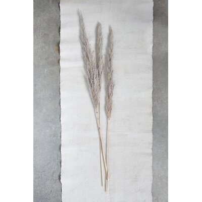 43.25'' Preserved Pampas Grass - Image 0