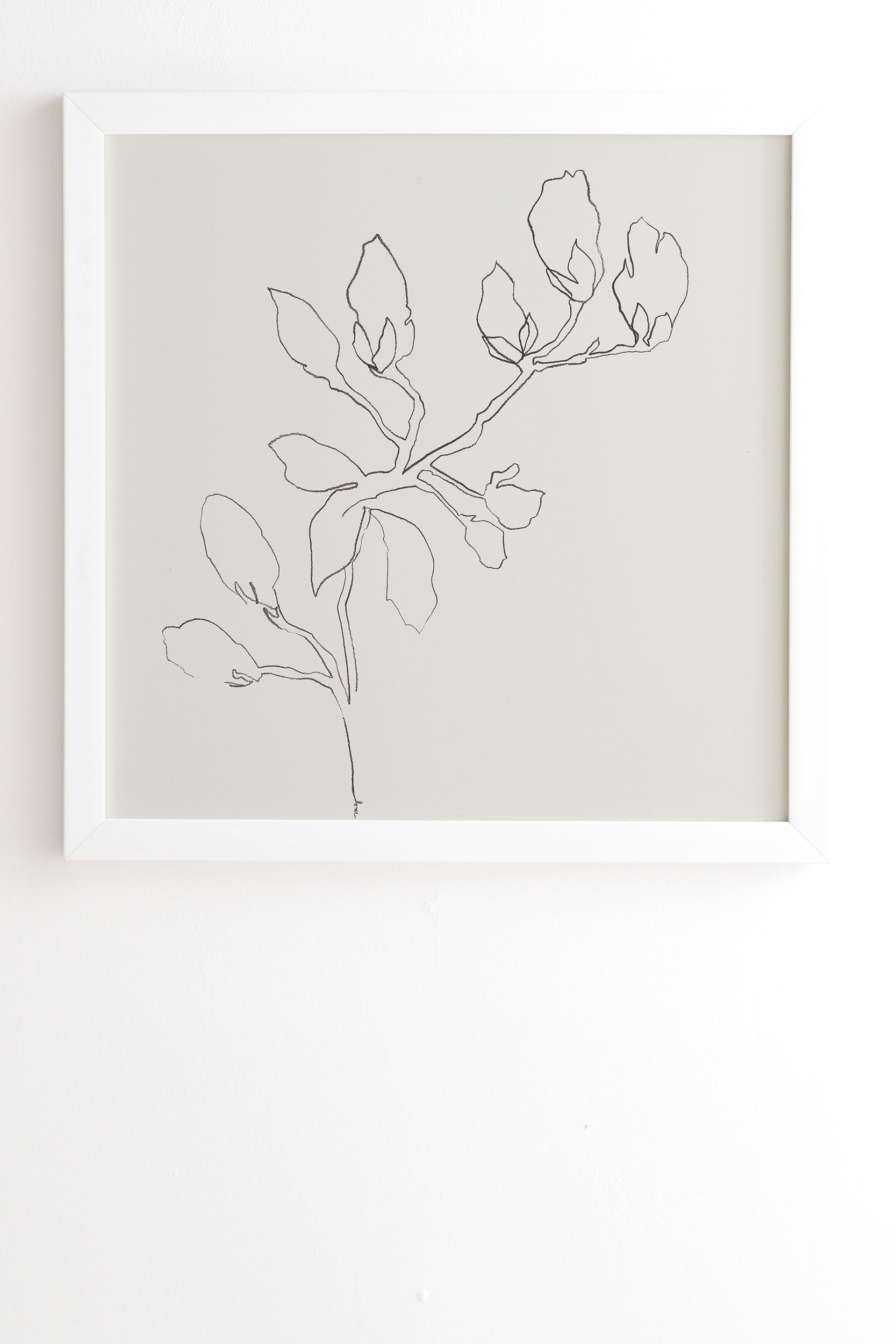 Floral Study No 3 by Megan Galante - Framed Wall Art Basic White 12" x 12" - Image 1