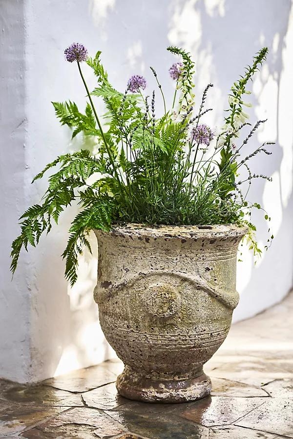 Barnacle French Urn - Image 0