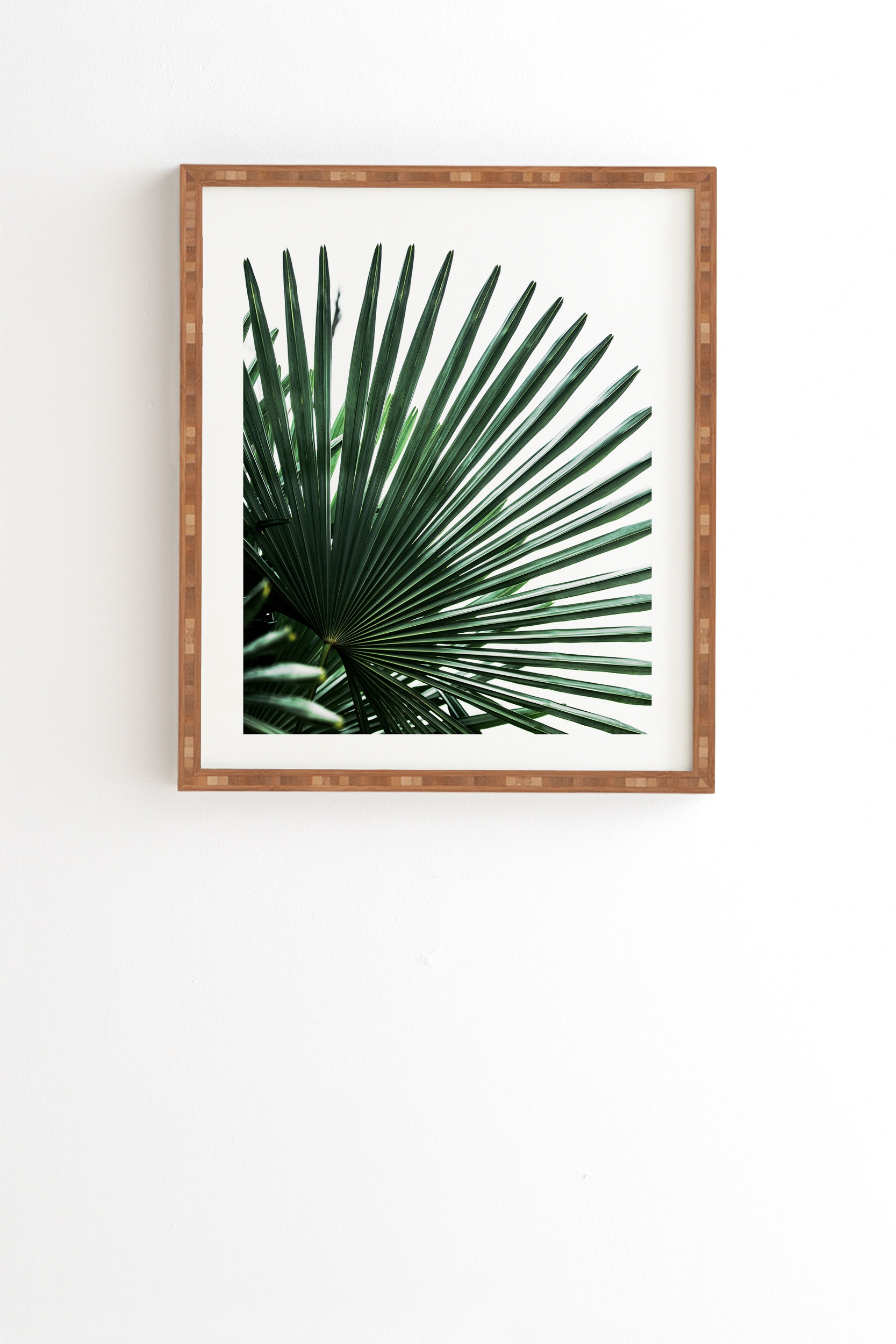 Palm Leaves 13 by Mareike Boehmer - Framed Wall Art Bamboo 20" x 20" - Image 0