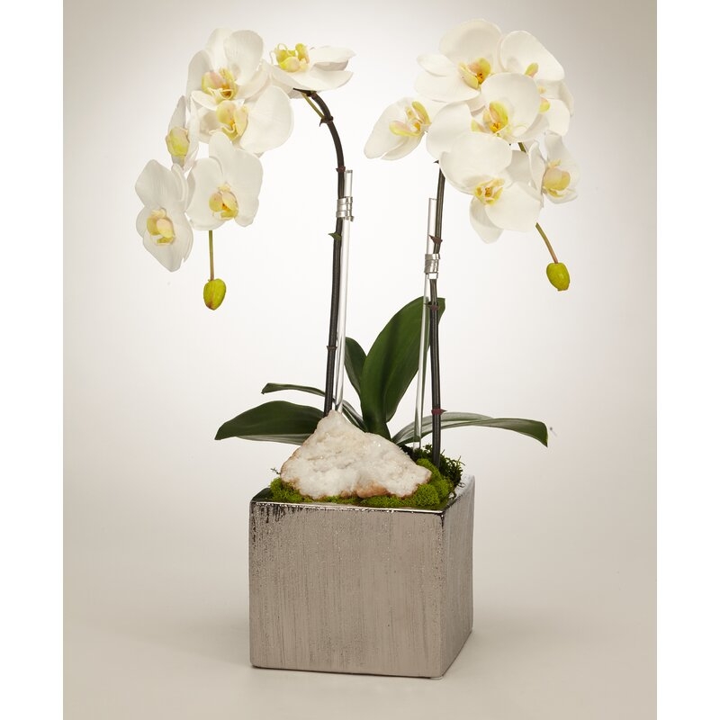 T&C Floral Company Orchid Floral Arrangement in Planter with Quartz - Image 0