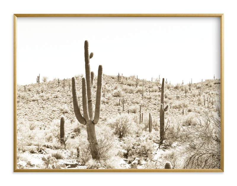 Dusty Cacti Art Print - Image 0