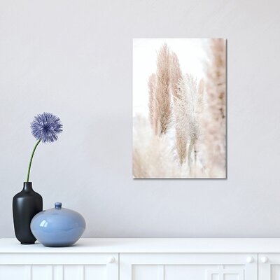 Pampas Reed Madeira by Monika Strigel - Wrapped Canvas Gallery-Wrapped Canvas Giclée - Image 0