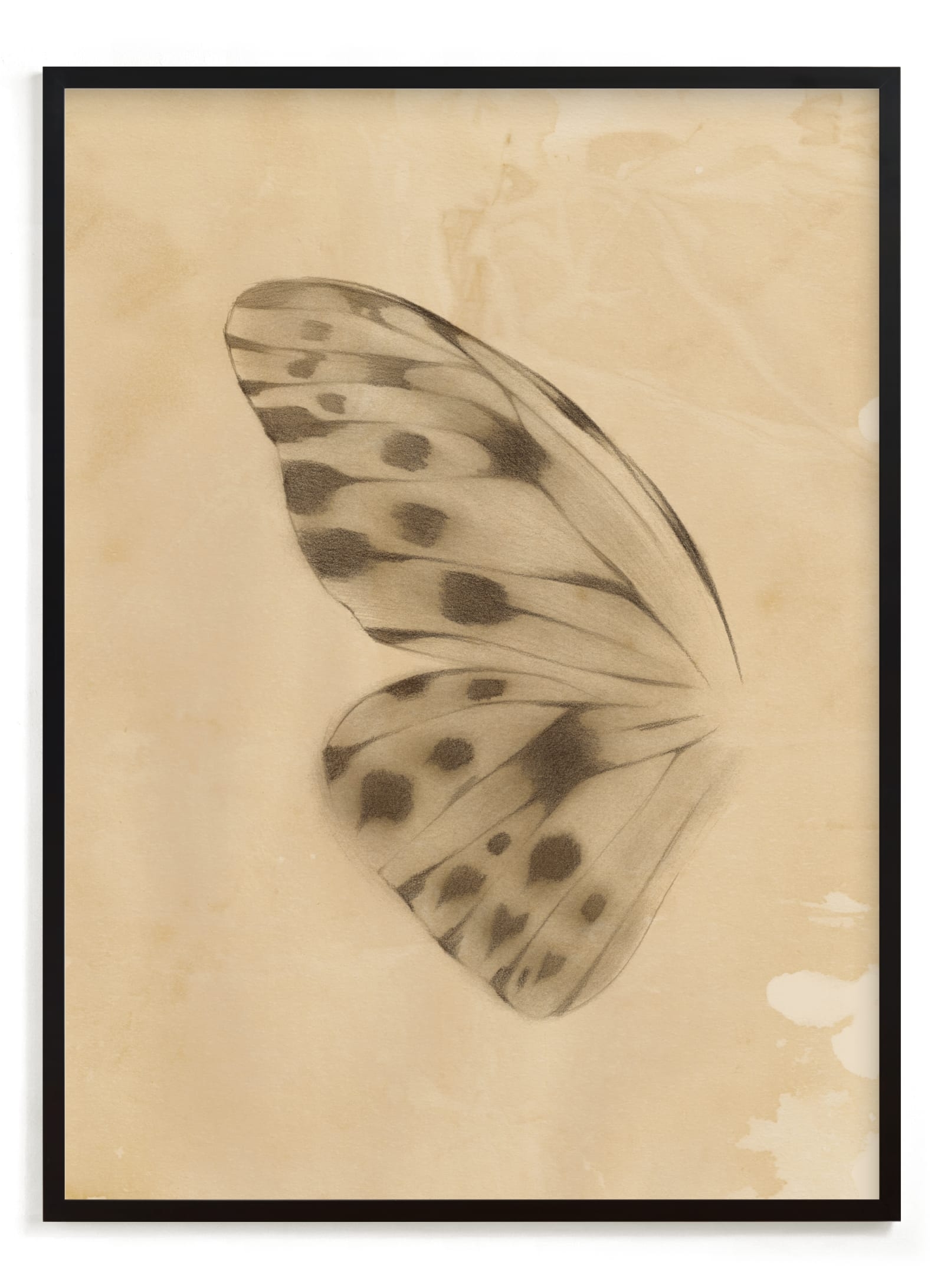Vintage Mariposa I Limited Edition Fine Art Print 2 - Image 0