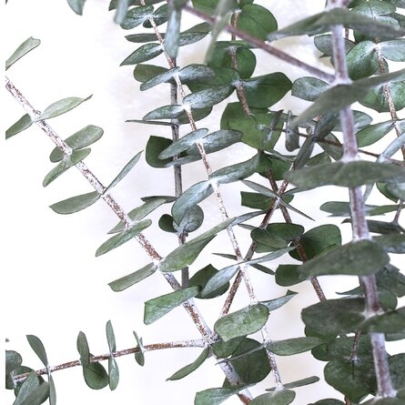 30'' Preserved Eucalyptus Branch - Image 2